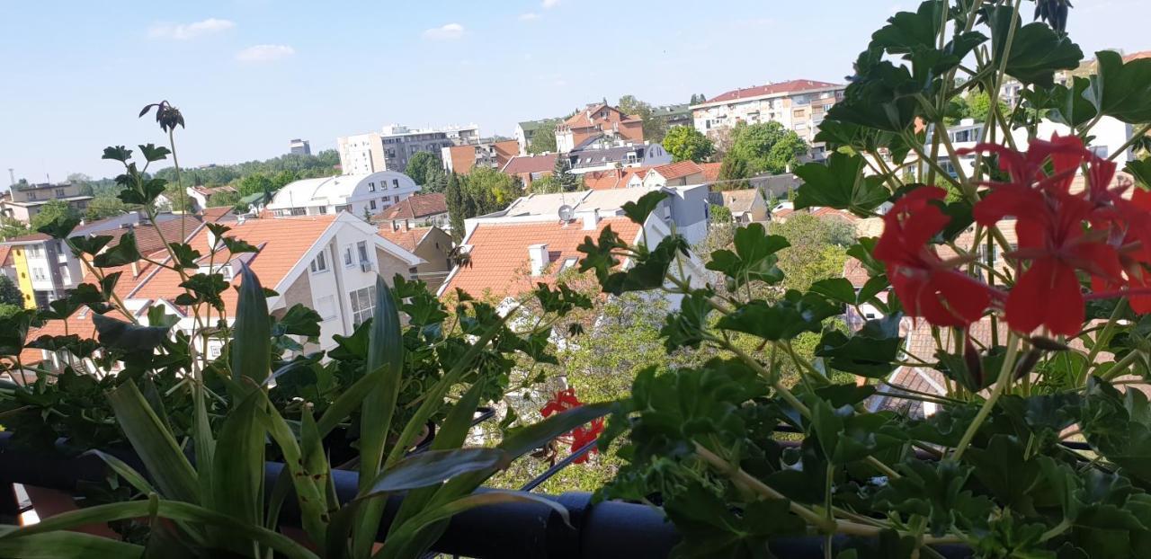 APARTMANI Emerald Dream Novi Sad Exterior foto